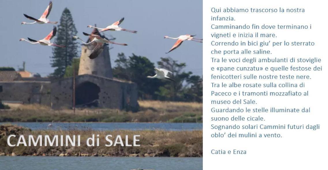 Cammini Di Sale Casa Vacanze Tra Le Saline Torre Nubia 外观 照片
